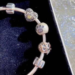 Pandora Bracelet with Charms